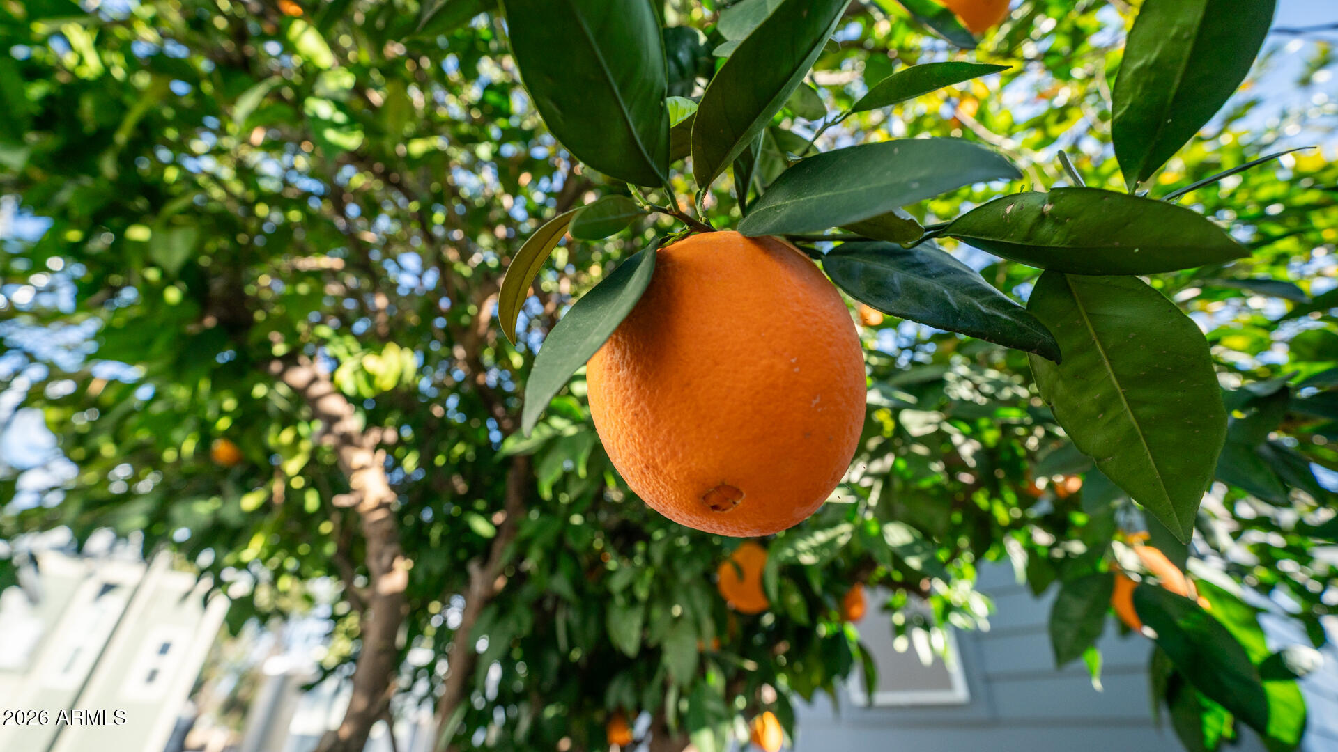 3710 South Goldfield Road, Unit 232 Apache Junction, AZ 85119 - Photo 30 of 67 3710 S Goldfield Rd Unit 232-30