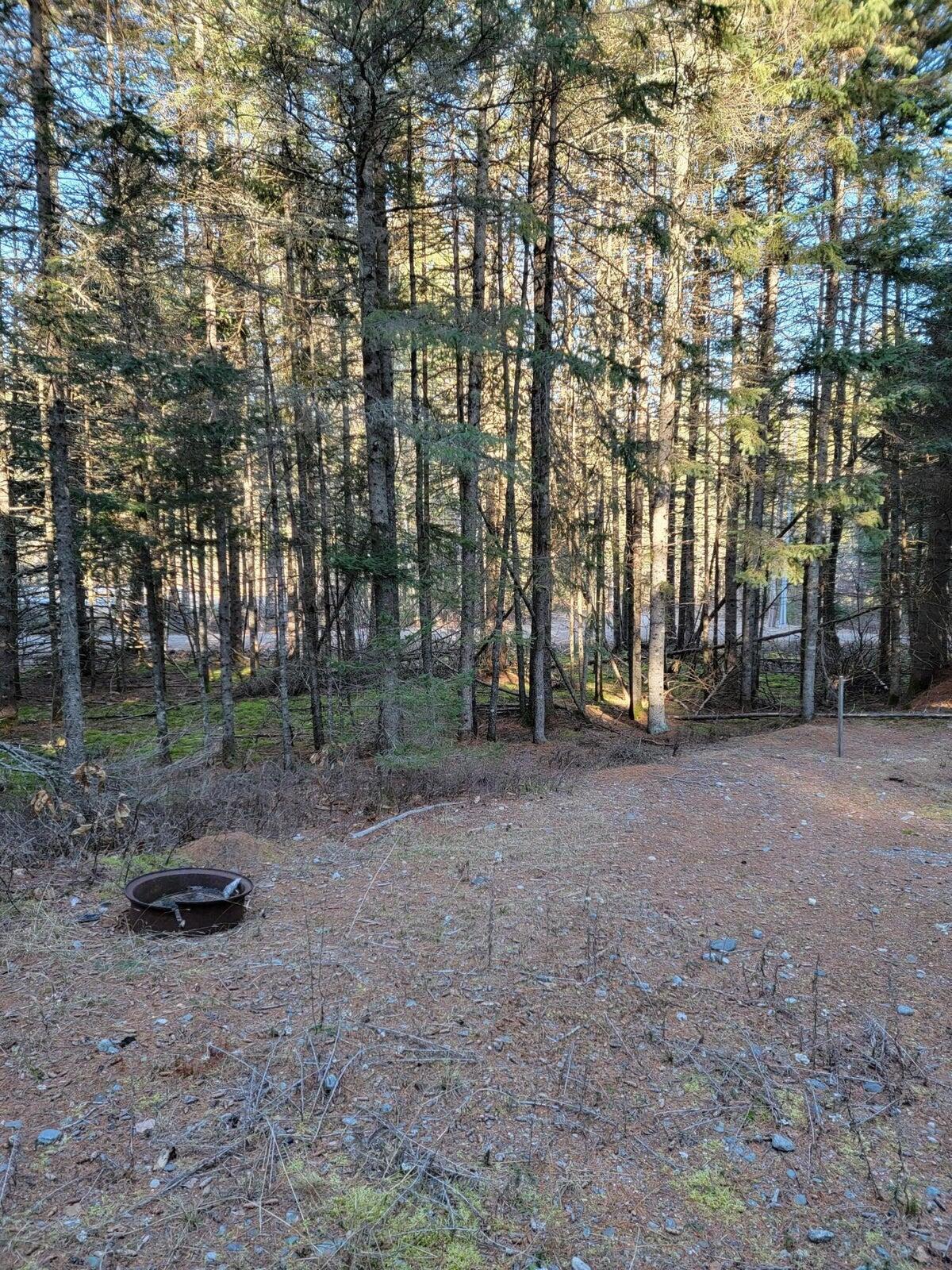 Lot 7 Cartullo Road Stratton, ME 04982 - Photo 20 of 30 4