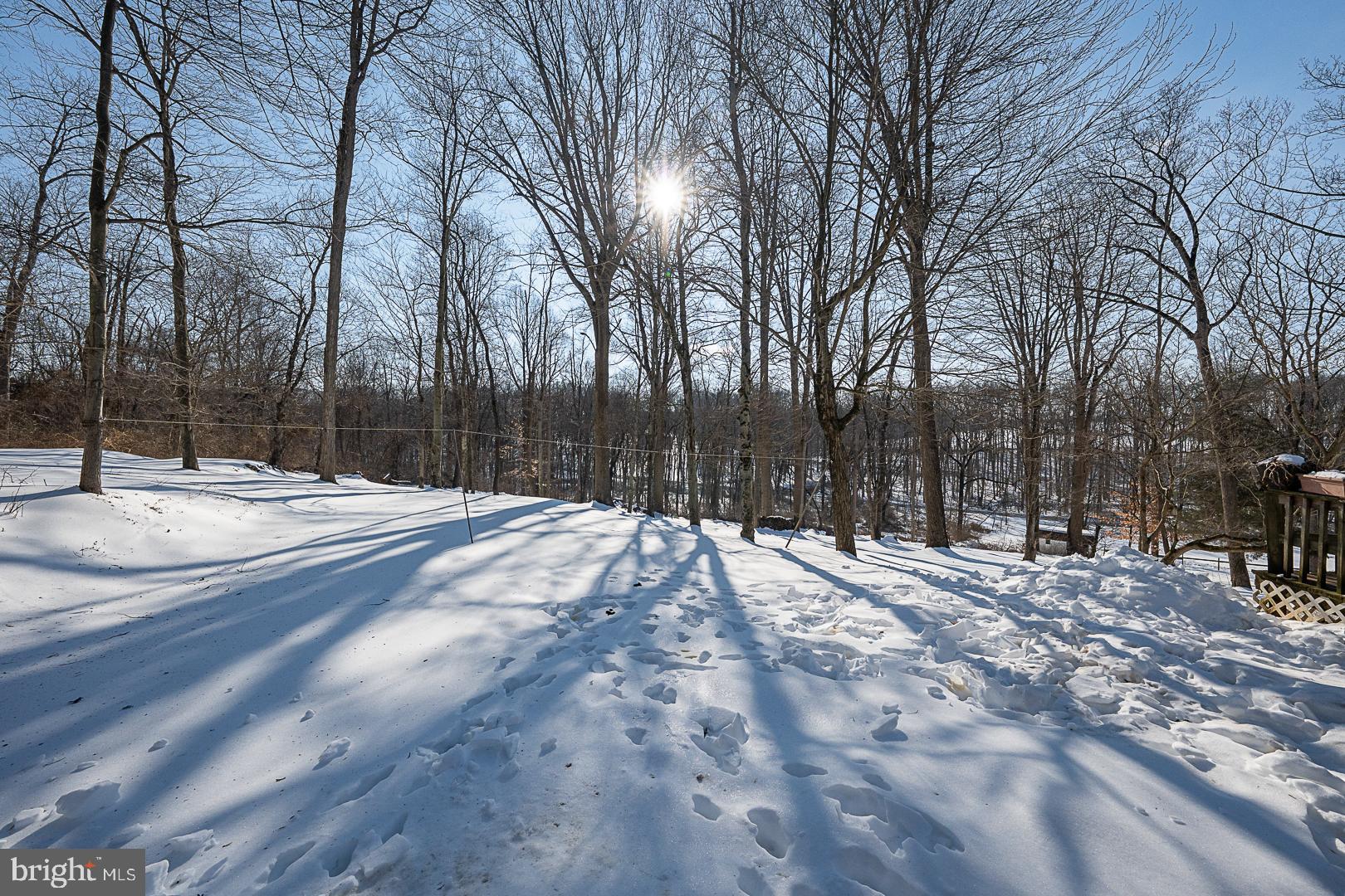 244 South Bonsall Road Coatesville, PA 19320 - Photo 3 of 48 a view of road with trees
