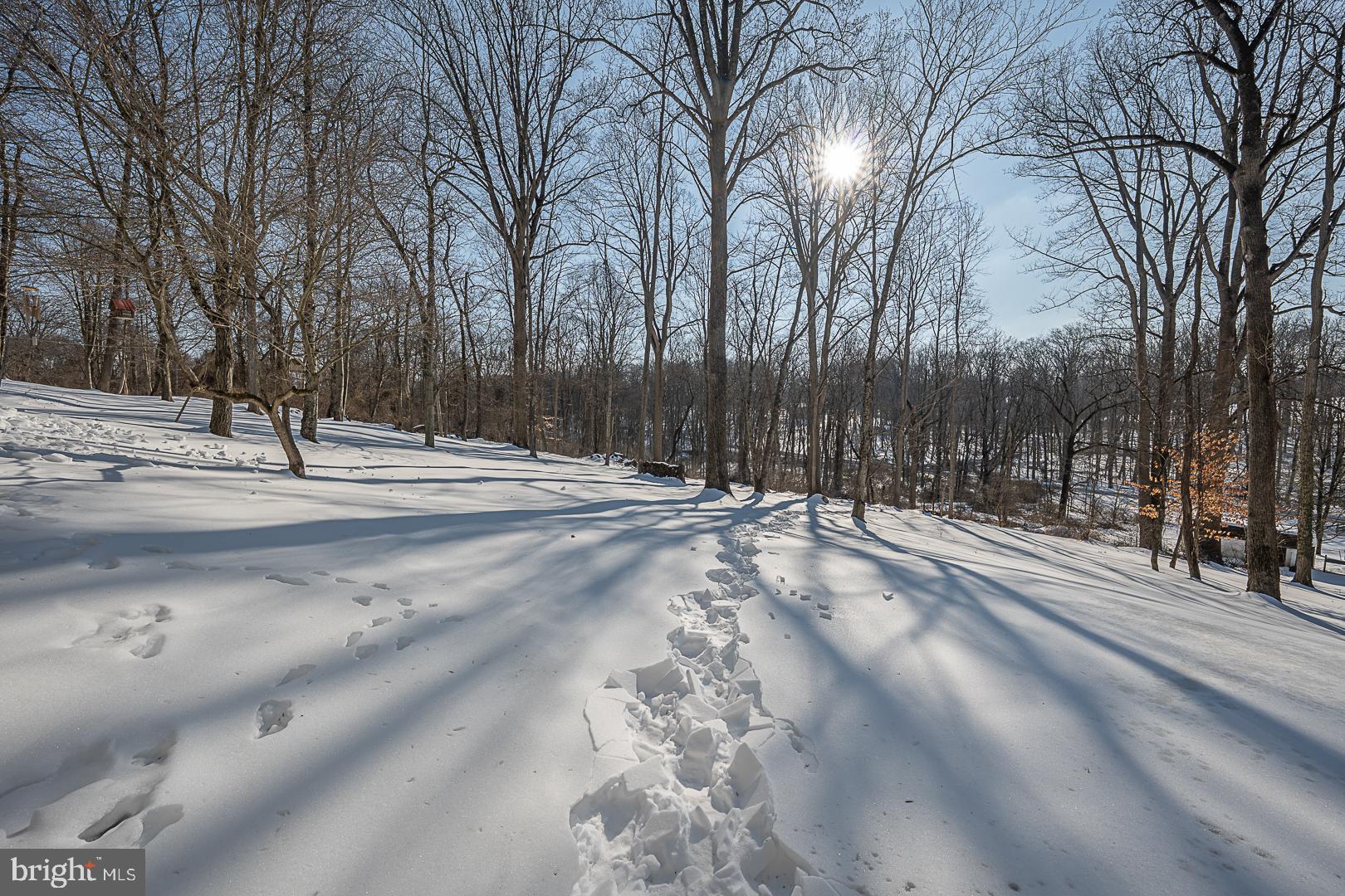 244 South Bonsall Road Coatesville, PA 19320 - Photo 47 of 48 a view of road with with trees