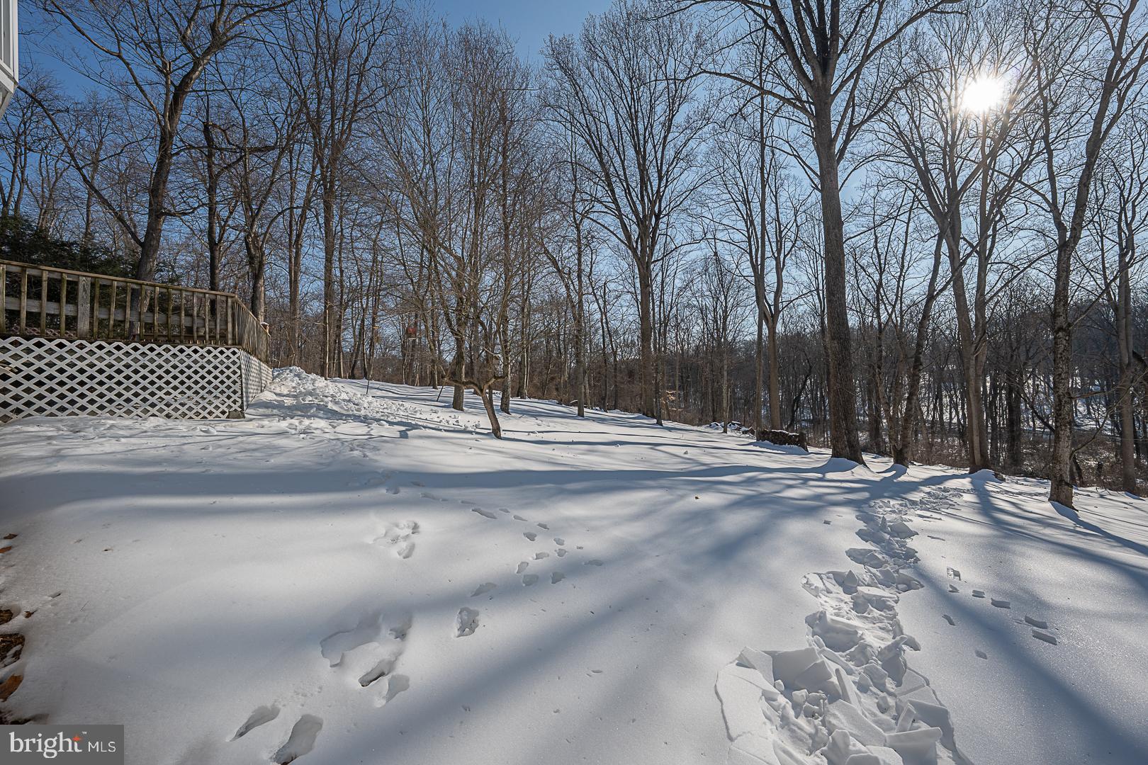 244 South Bonsall Road Coatesville, PA 19320 - Photo 48 of 48 a view of a backyard of the house