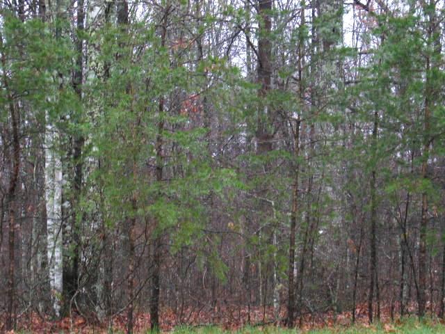 West Indian Park Road, Unit 5 Monterey, TN 38574 - Photo 1 of 1 MAIN