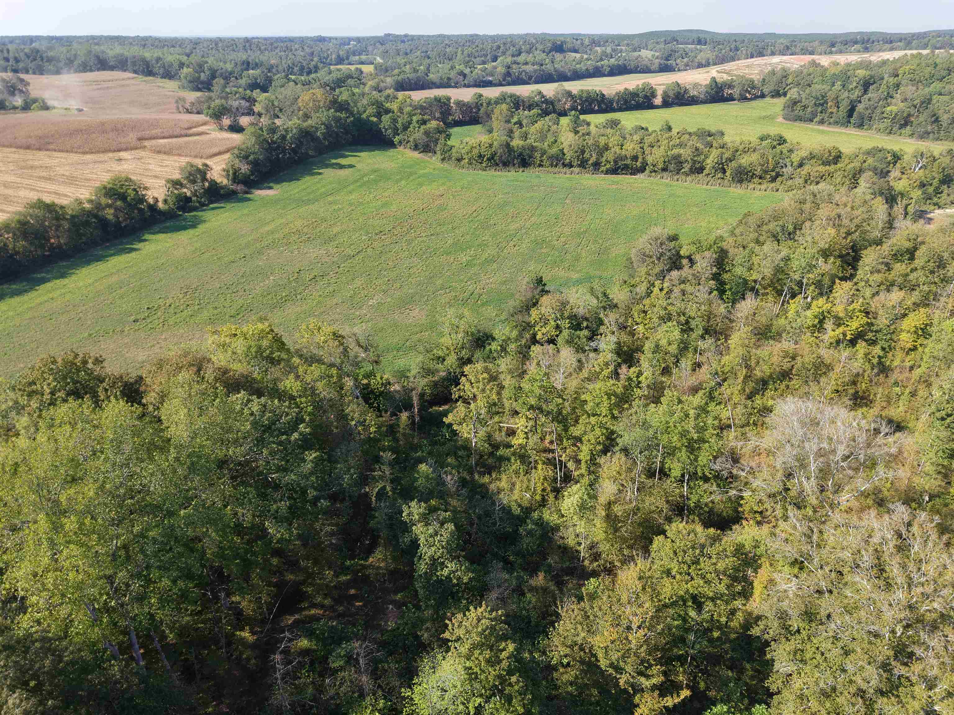 0 Mt Carmel Road Decaturville, TN 38329 - Photo 14 of 31
