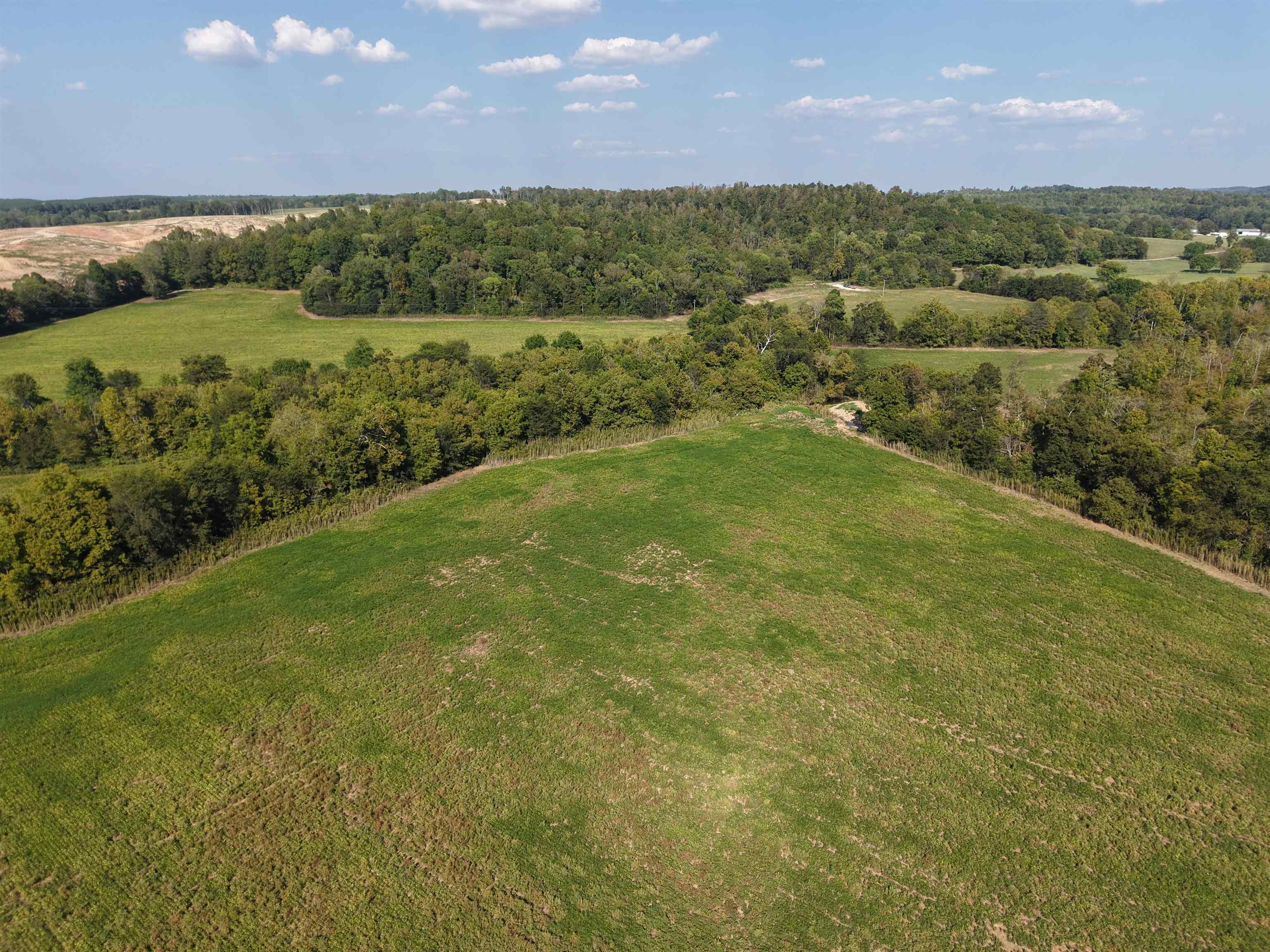 0 Mt Carmel Road Decaturville, TN 38329 - Photo 17 of 31