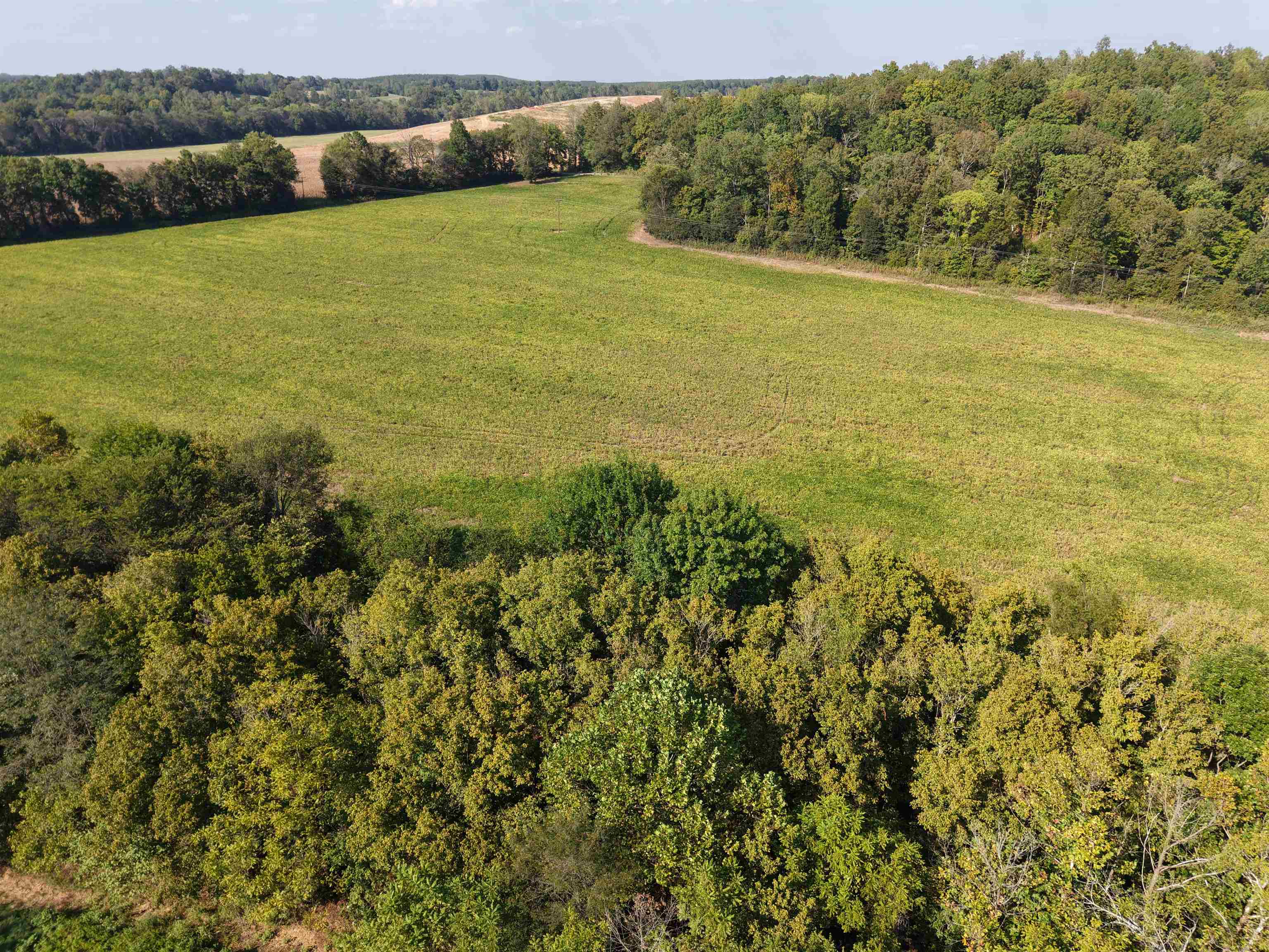 0 Mt Carmel Road Decaturville, TN 38329 - Photo 19 of 31