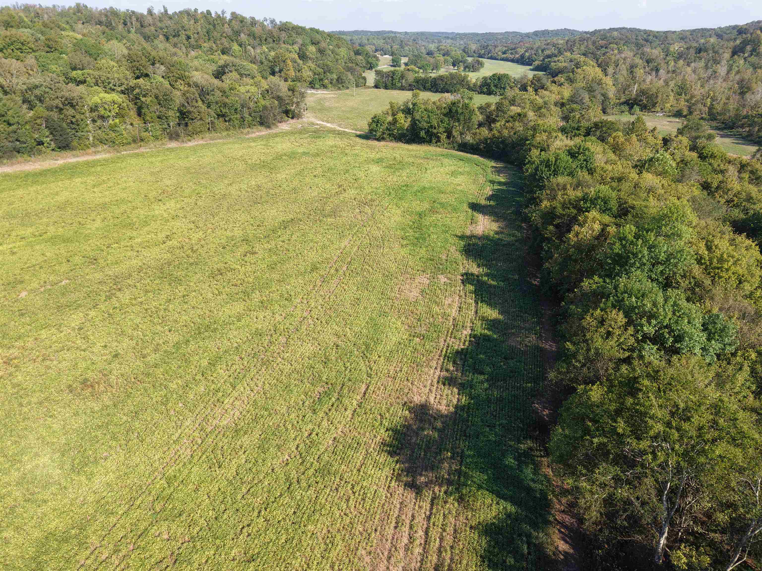 0 Mt Carmel Road Decaturville, TN 38329 - Photo 20 of 31