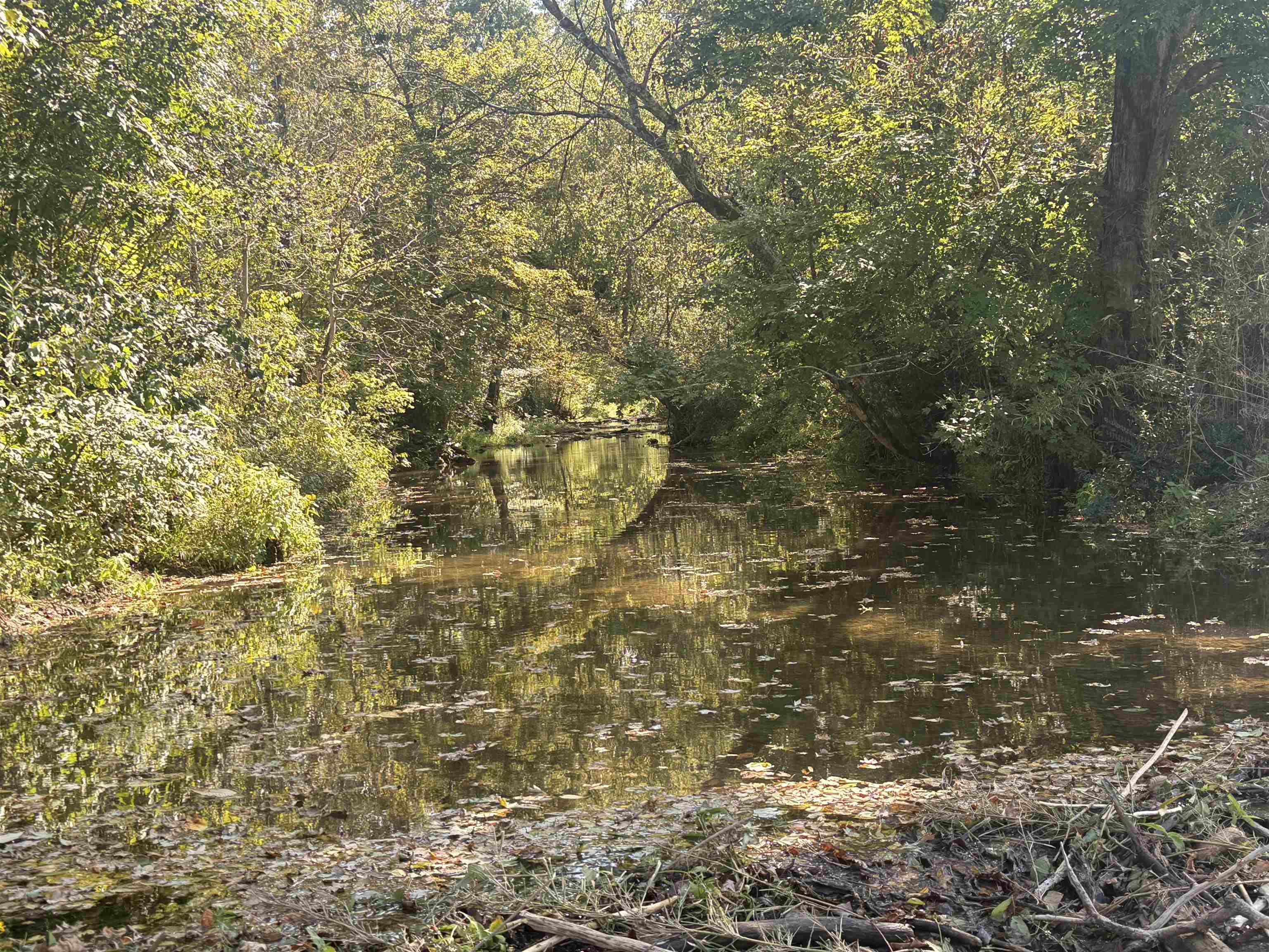 0 Mt Carmel Road Decaturville, TN 38329 - Photo 21 of 31