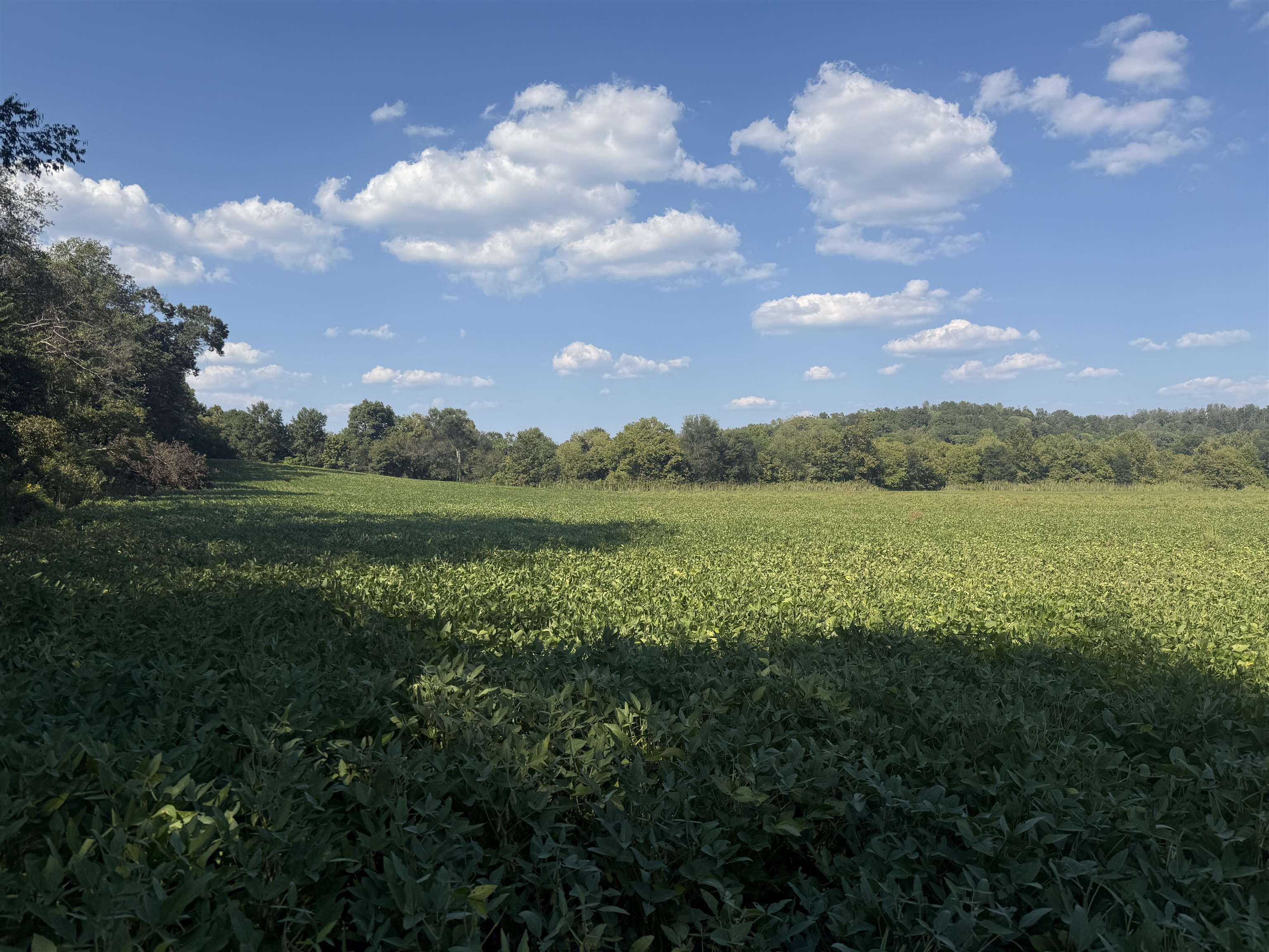 0 Mt Carmel Road Decaturville, TN 38329 - Photo 24 of 31