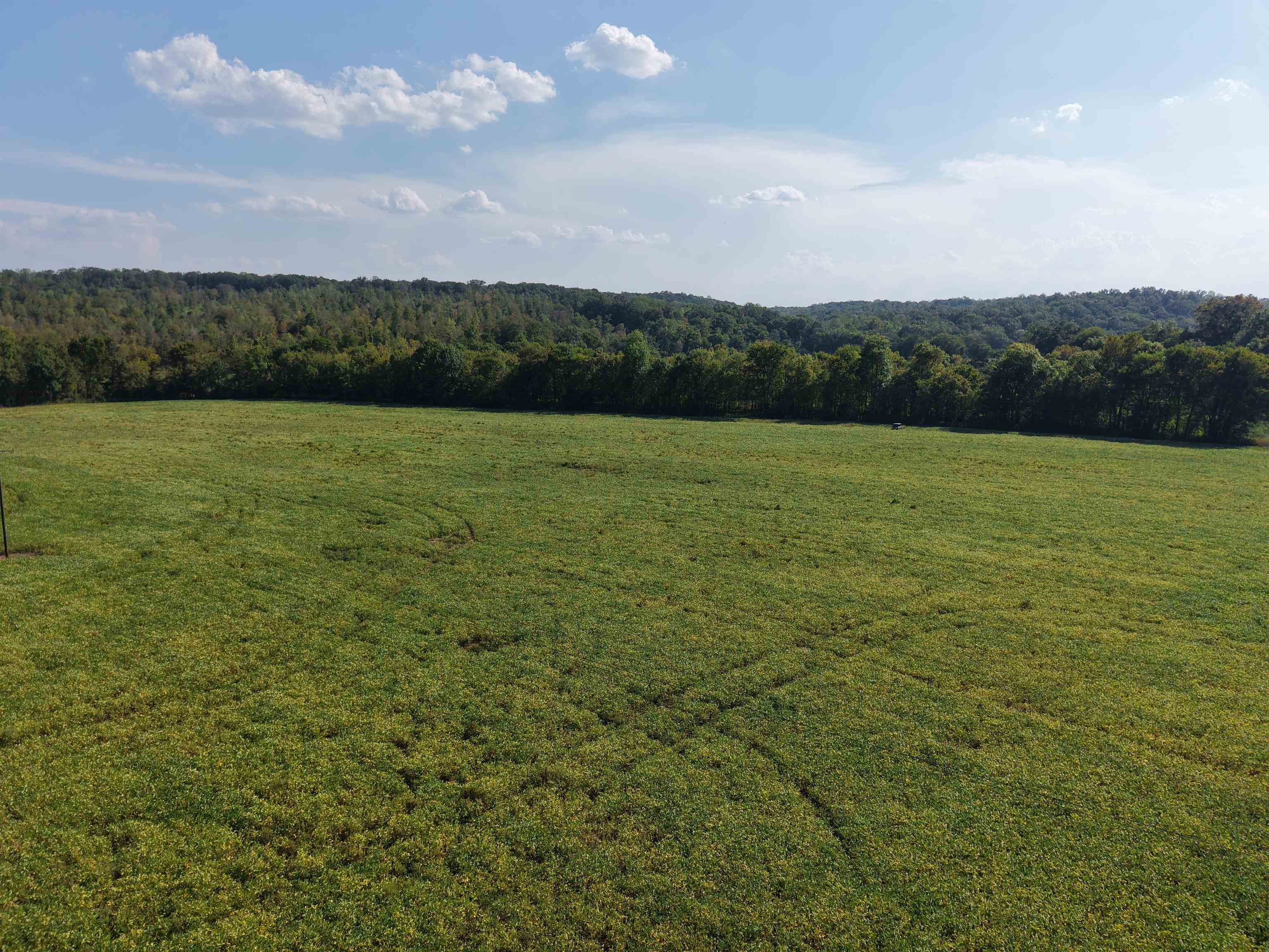 0 Mt Carmel Road Decaturville, TN 38329 - Photo 4 of 31