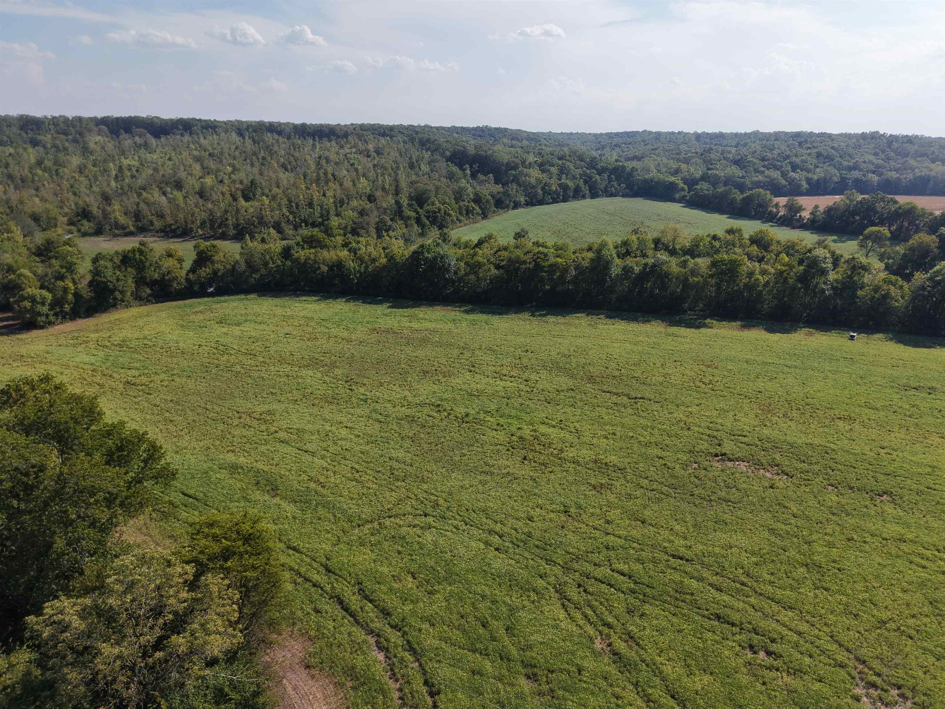 0 Mt Carmel Road Decaturville, TN 38329 - Photo 5 of 31