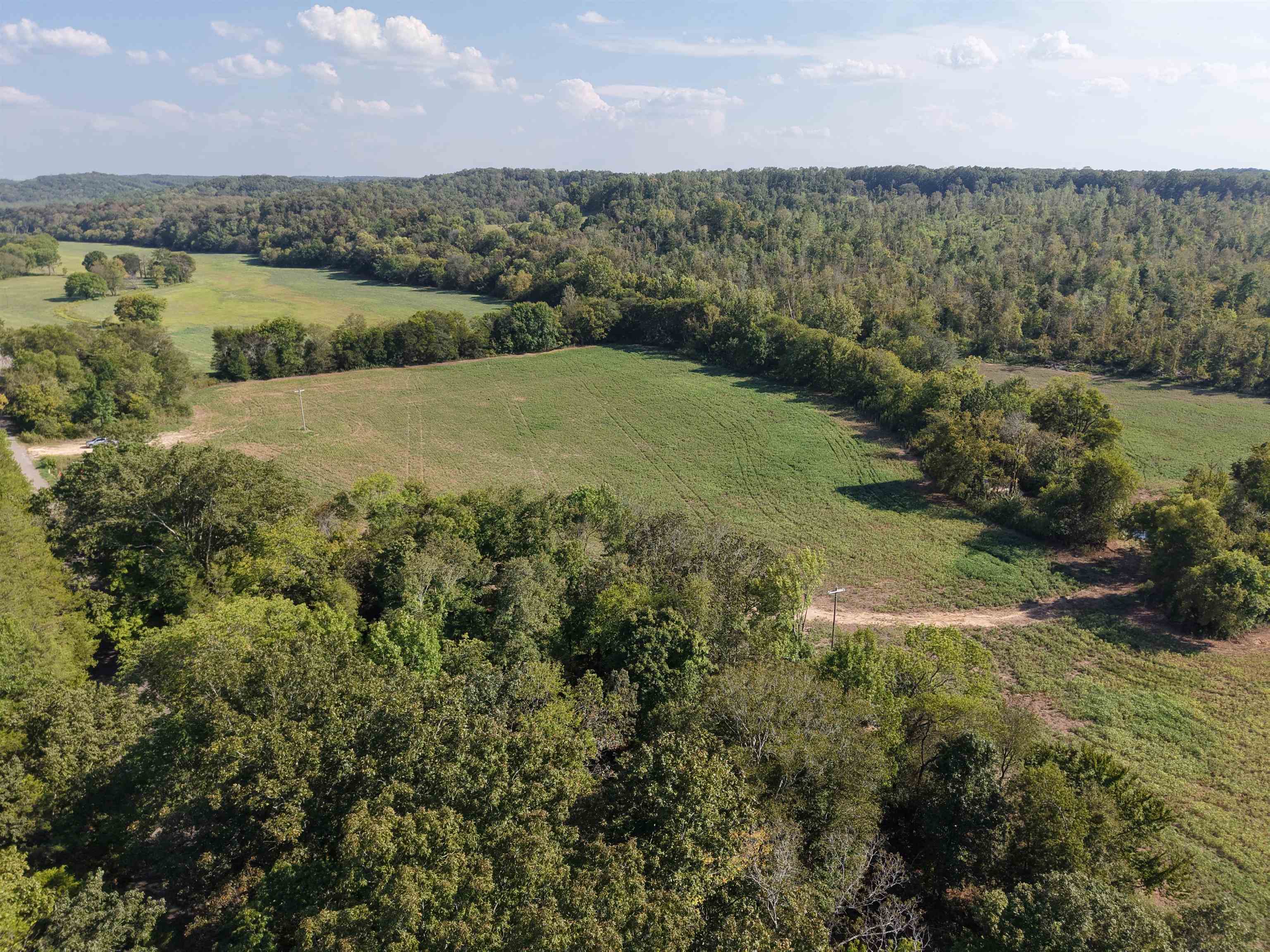 0 Mt Carmel Road Decaturville, TN 38329 - Photo 6 of 31