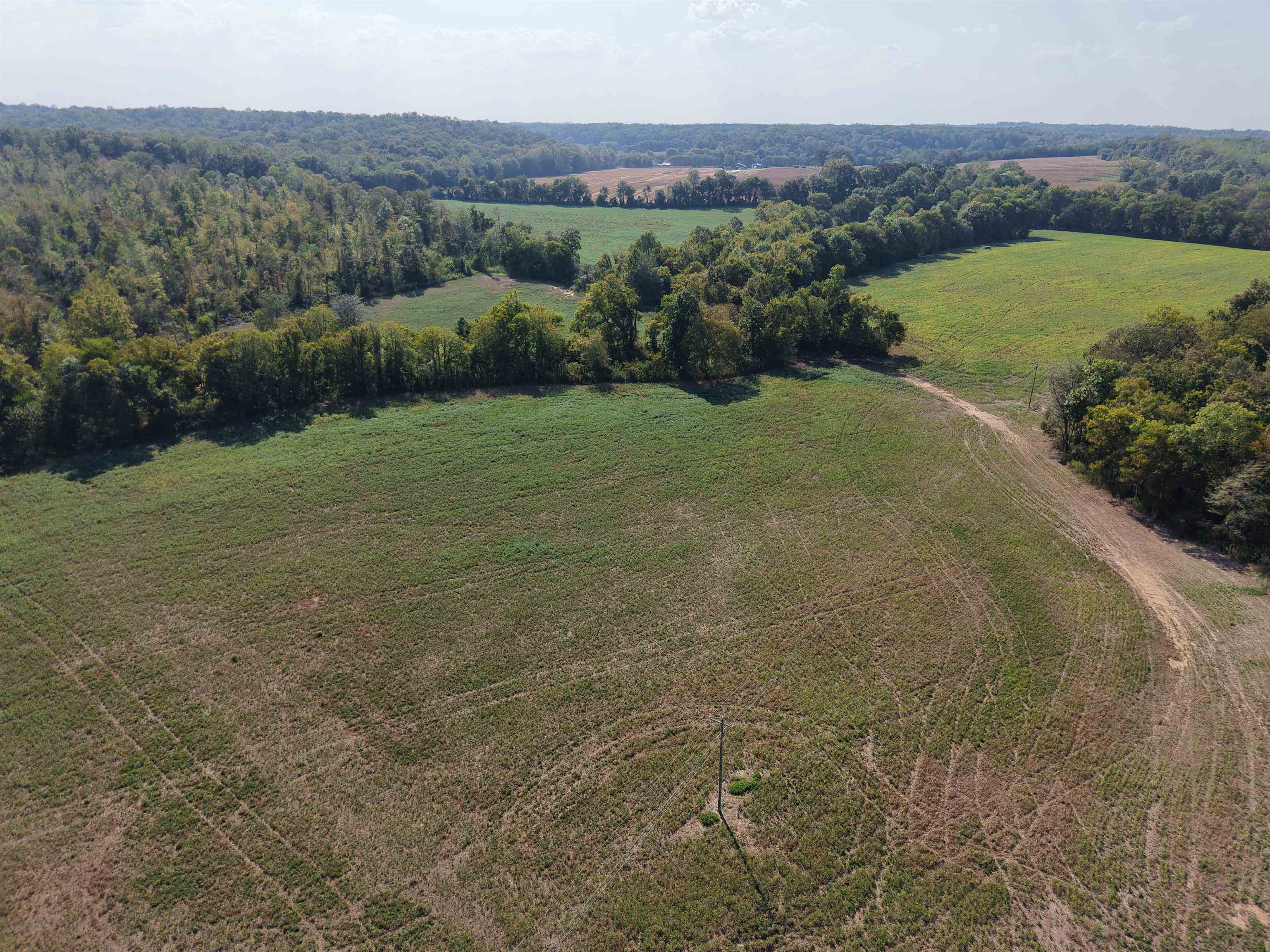 0 Mt Carmel Road Decaturville, TN 38329 - Photo 7 of 31
