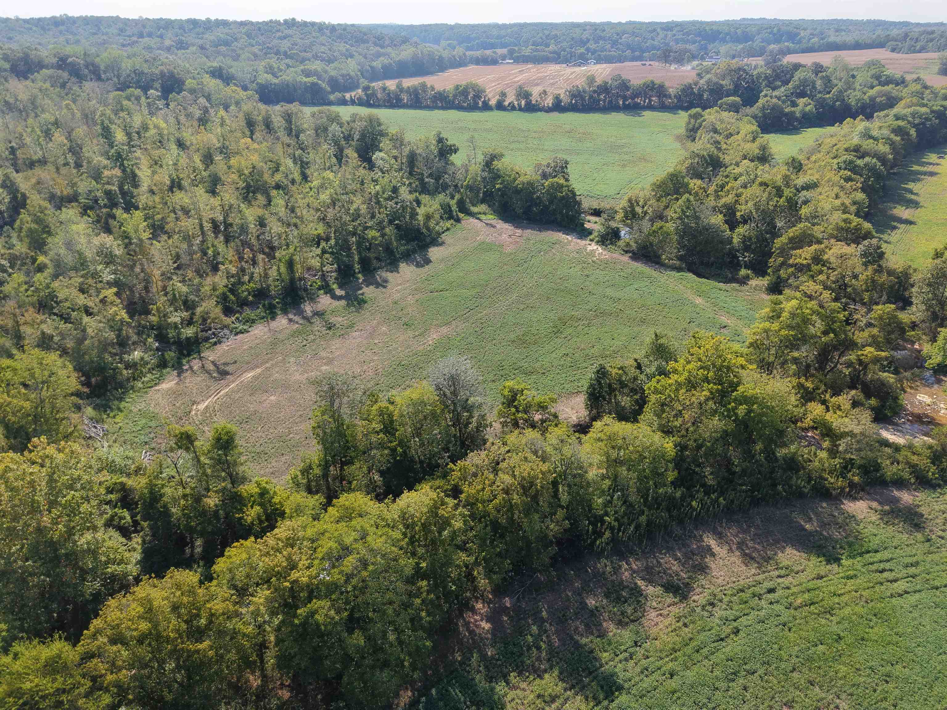 0 Mt Carmel Road Decaturville, TN 38329 - Photo 8 of 31