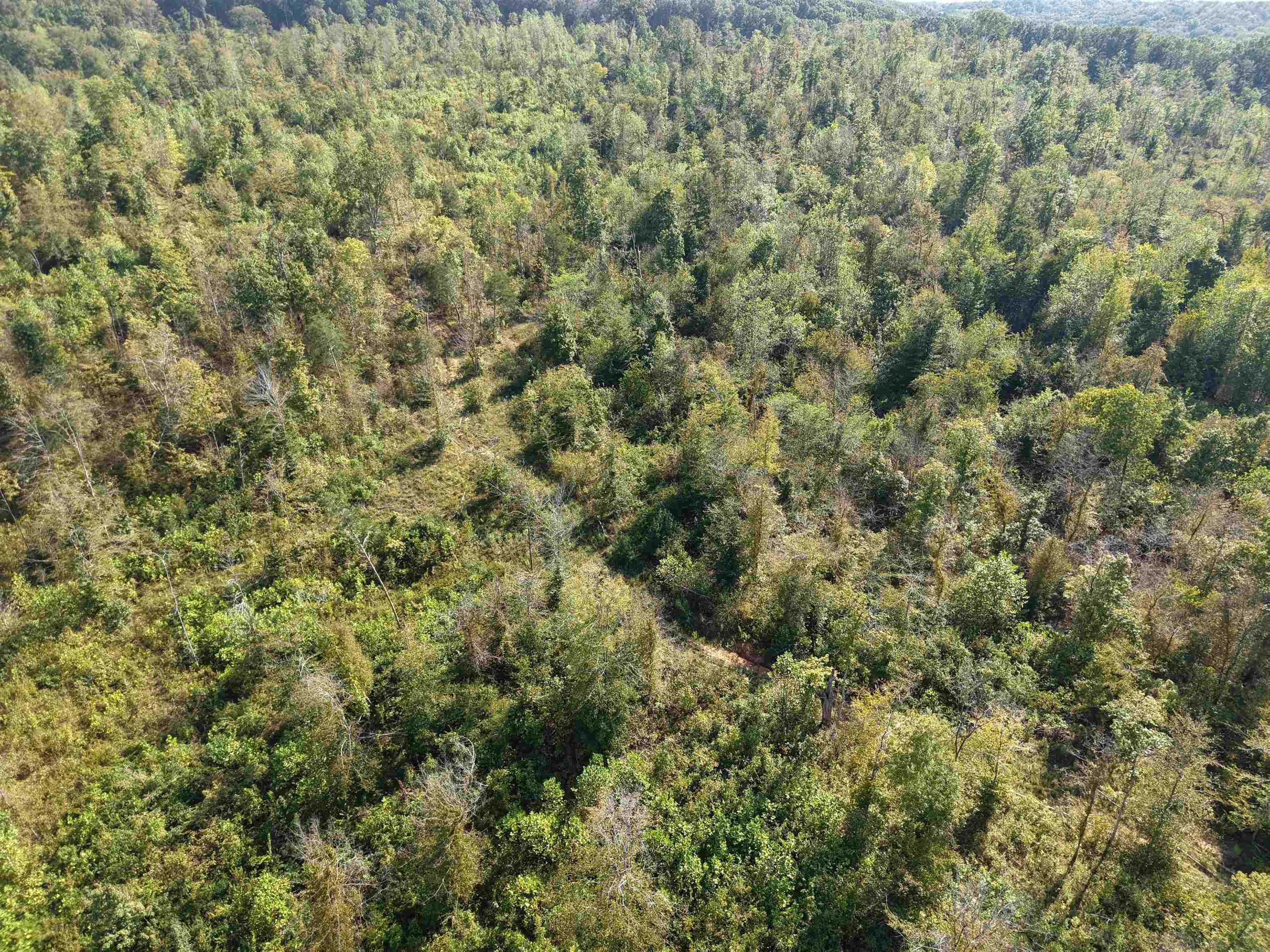 0 Mt Carmel Road Decaturville, TN 38329 - Photo 9 of 31