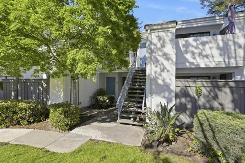 a view of backyard with plants and outdoor seating