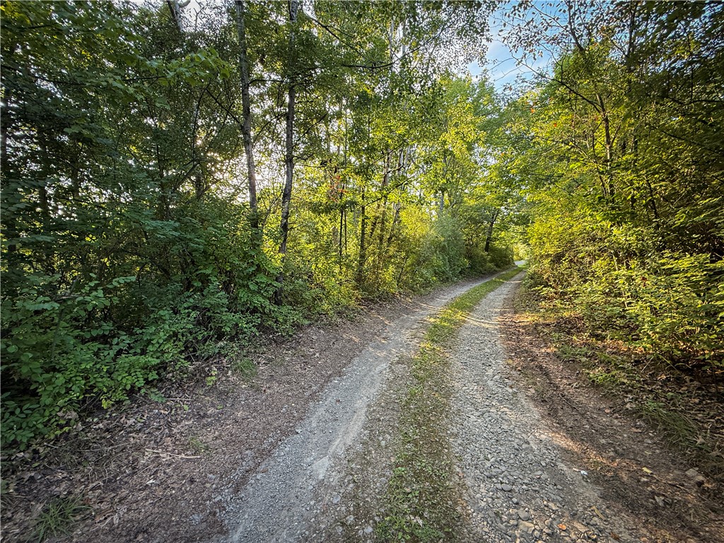 144 Hardscrabble Road Baldwin, NY 14861 - Photo 27 of 50 Gallery Image 27