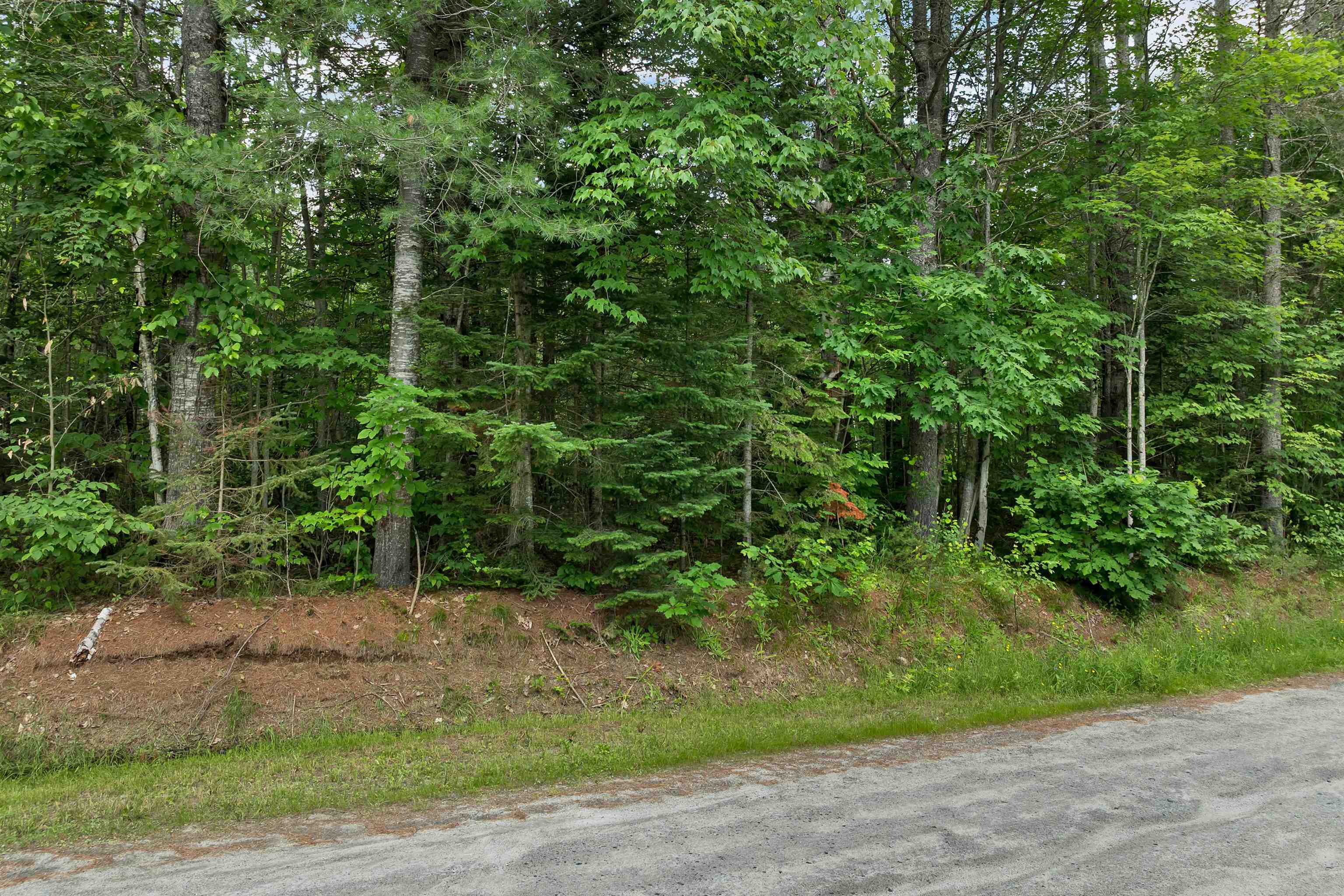 231-70-1 Crane Road Whitefield, NH 03598 - Photo 6 of 14