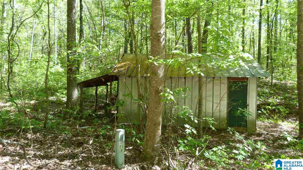 2934 Erin Road Lineville, AL 36266 - Photo 23 of 26