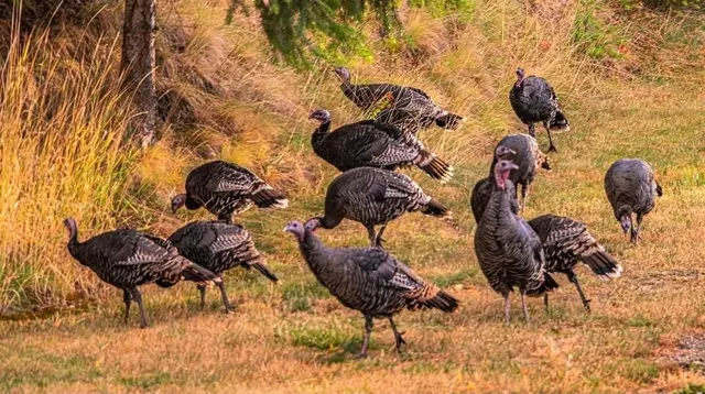 $835,000 | 5060 South Hillcrest Lane, Veradale, WA 99037