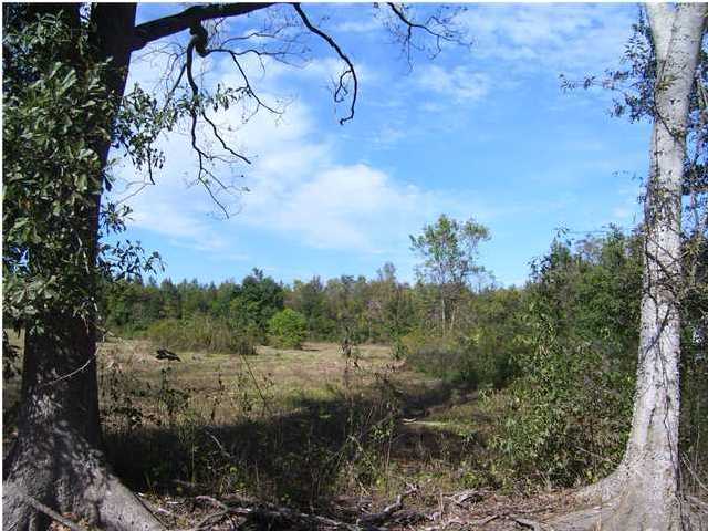 0 Schoeffler Road Carencro, LA 70520 - Photo 5 of 8 Additional Photo