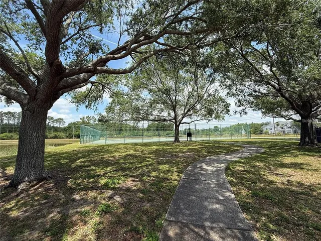 a view of a trees in a yard next to a building