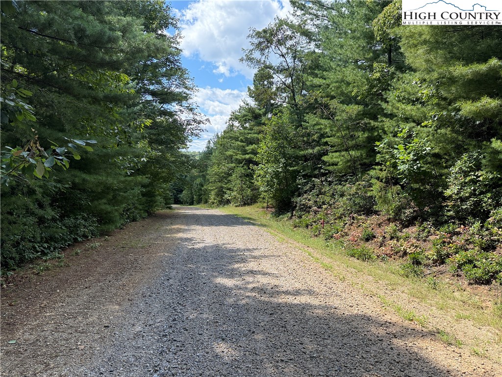 Lot 163 Staghorn Road Purlear, NC 28665 - Photo 4 of 40