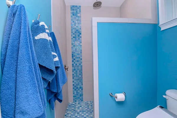 a bathroom with a shower and a toilet
