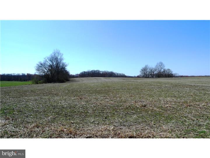 138 Frank Davis Road Bridgeton, NJ 08302 - Photo 5 of 11 Gallery Image 5