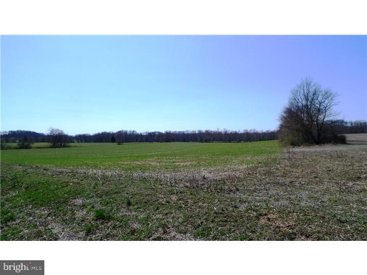 138 Frank Davis Road Bridgeton, NJ 08302 - Photo 6 of 11 Gallery Image 6