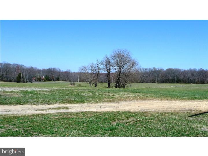 138 Frank Davis Road Bridgeton, NJ 08302 - Photo 9 of 11 Gallery Image 9