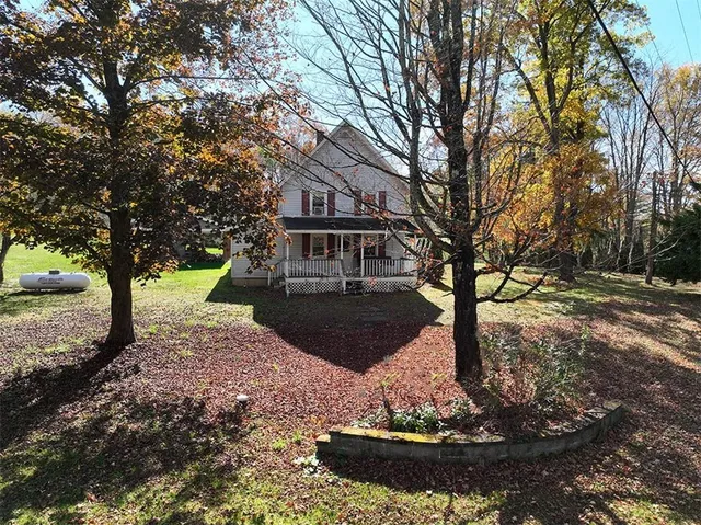 a view of a yard with plants and trees
