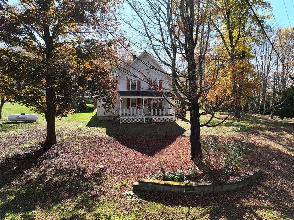 a view of a yard with plants and trees