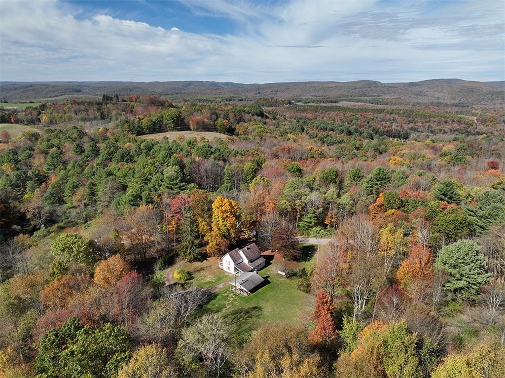 3188 Winslow Hill Road Benezett, PA 15821 - Photo 23 of 27 a view of a city with lush green forest