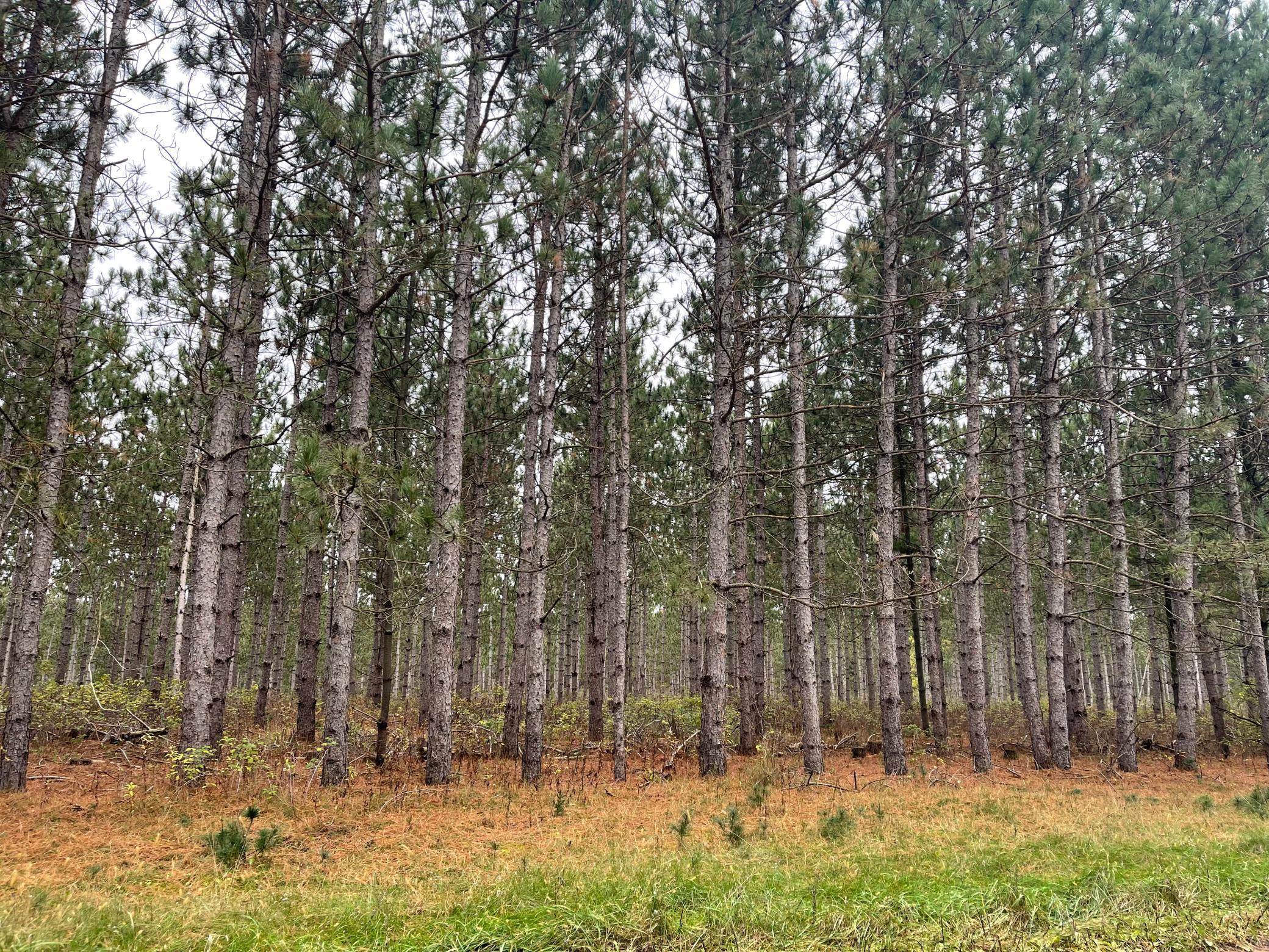 Lot 3 Eagle Point Road Menomonie, WI 54751 - Photo 1 of 1 Gallery Image 1