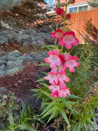 $1,159,000 | 1941 Winterhaven Drive, Hailey, ID 83333