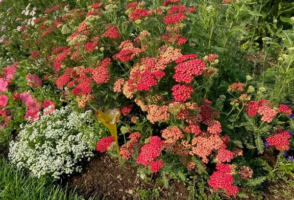 $1,159,000 | 1941 Winterhaven Drive, Hailey, ID 83333