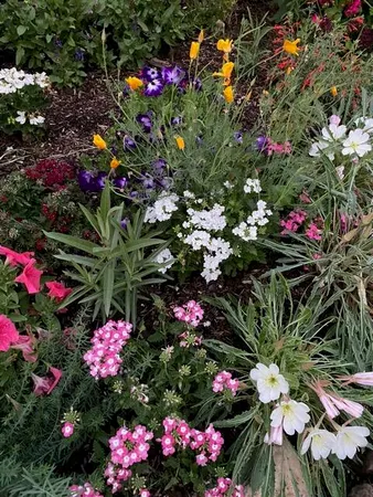 $1,159,000 | 1941 Winterhaven Drive, Hailey, ID 83333