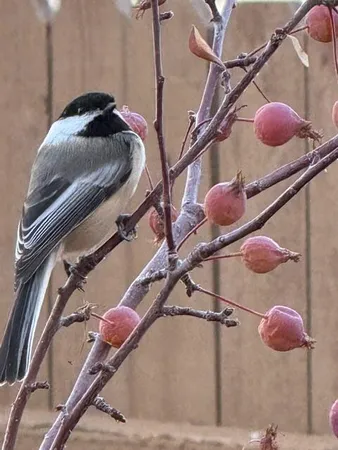 $1,159,000 | 1941 Winterhaven Drive, Hailey, ID 83333