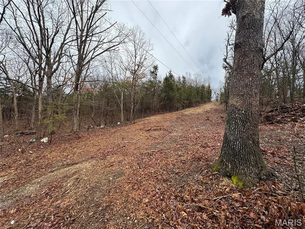 $99,900 | 11066 State Highway East, Rolla, MO 65401