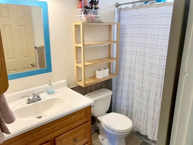 a bathroom with a sink a toilet a mirror and shower curtain