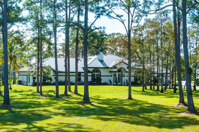 a view of park and bench