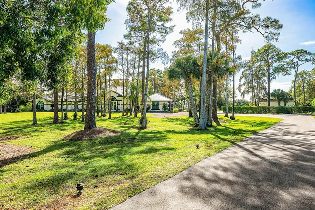 a view of a park and trees