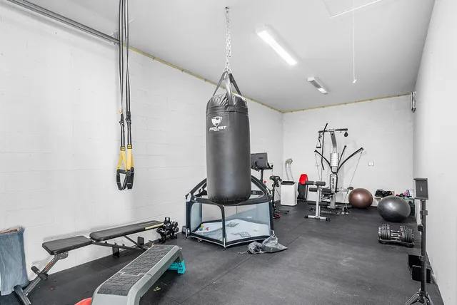 a view of a garden with plants