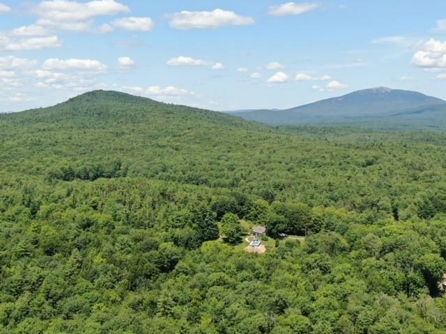211 Old Troy Road Fitzwilliam, NH 03447 - Photo 9 of 40