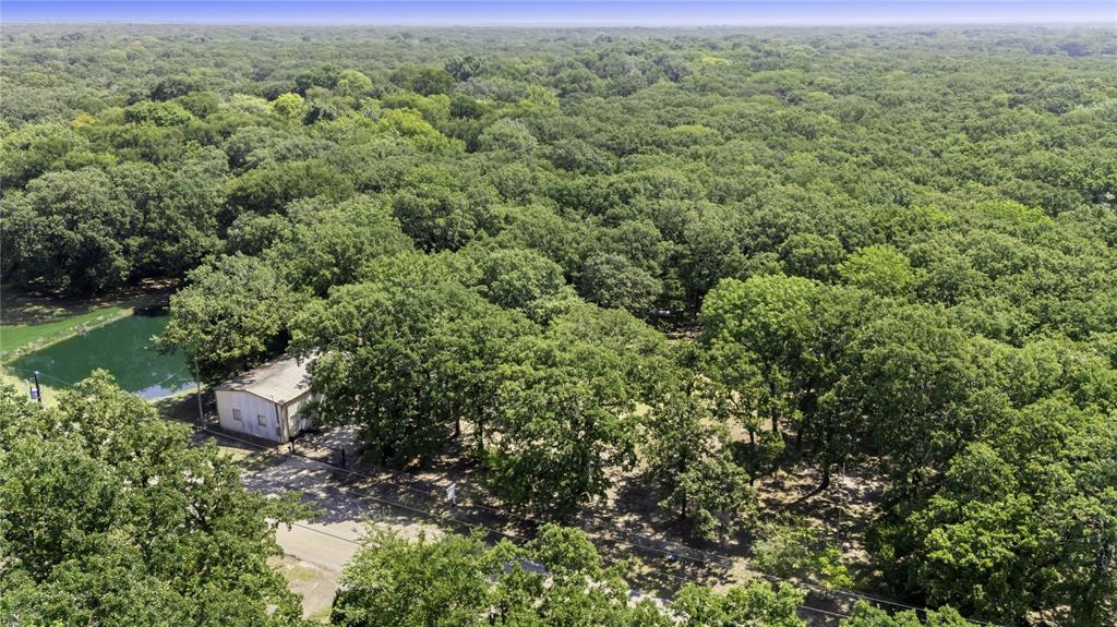 7243 County Road 3512 Quinlan, TX 75474 - Photo 11 of 14 Bird's eye view of a forest