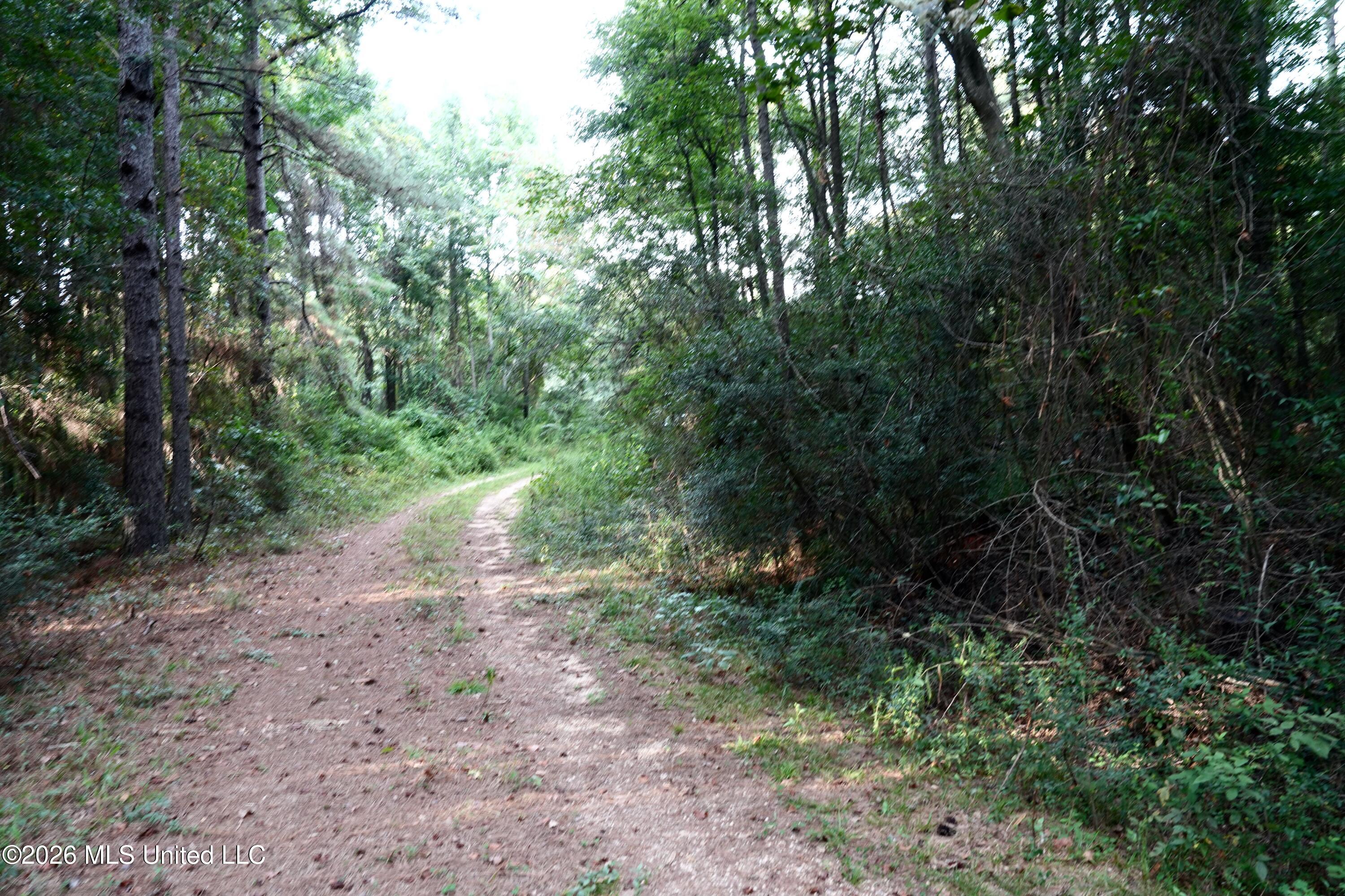 16 County Road Louin, MS 39338 - Photo 15 of 16 DSC04433