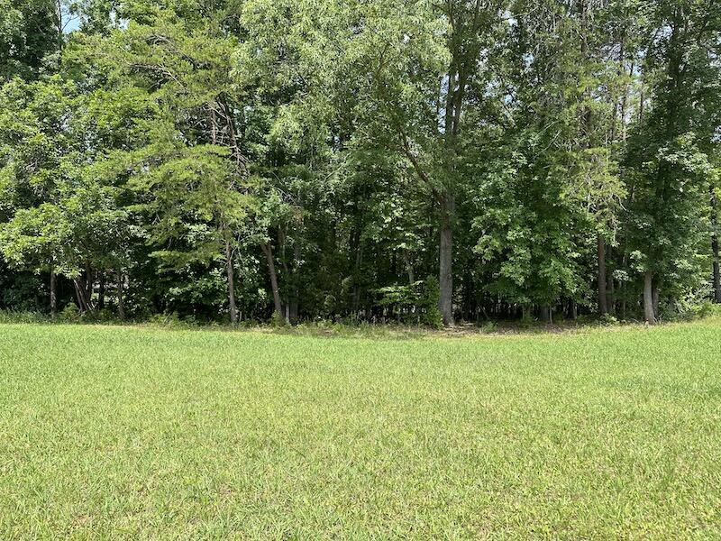 Lot 17 Cutlass Road Moneta, VA 24121 - Photo 4 of 6 IMG_3405