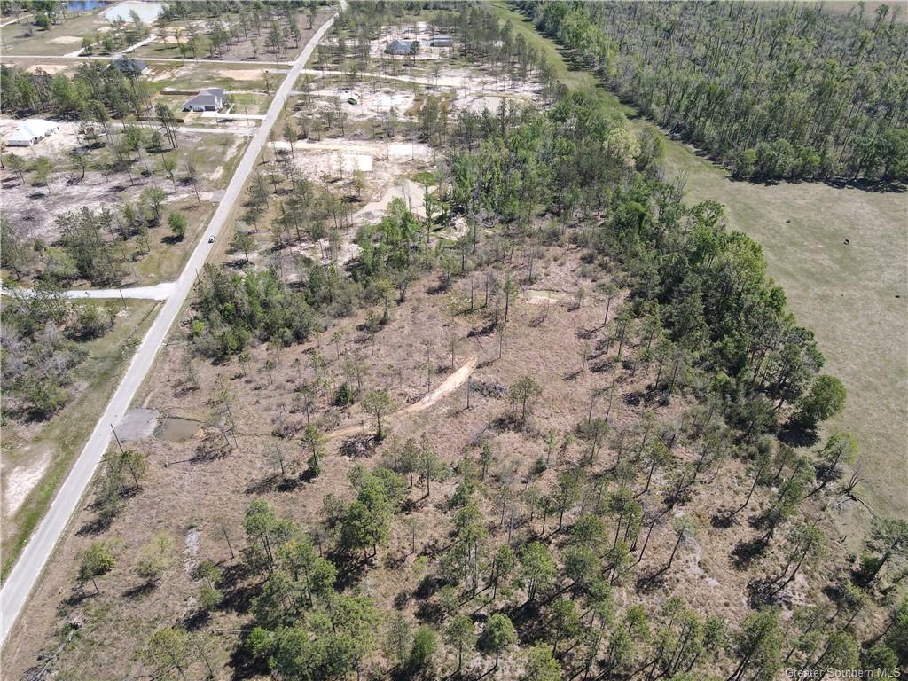 0 L A L A McFatter Road Ragley, LA 70657 - Photo 4 of 6