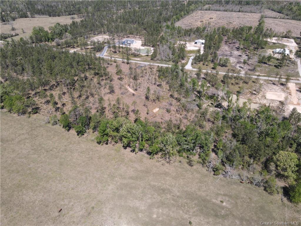 0 L A L A McFatter Road Ragley, LA 70657 - Photo 6 of 6