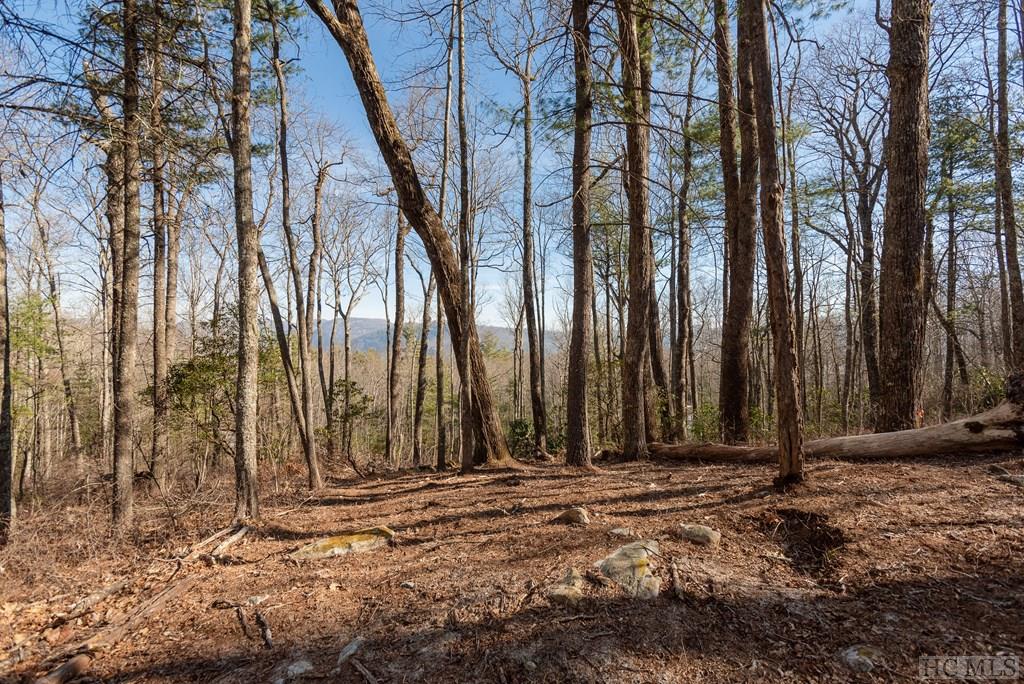 Lot 32 East Ridge Road Cashiers, NC 28717 - Photo 6 of 19 Gallery Image 6